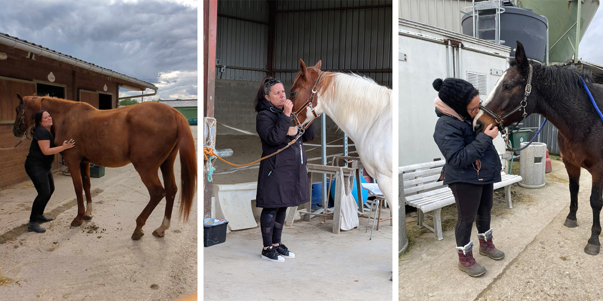 Soins chevaux